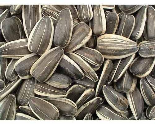 Sunflower Seeds