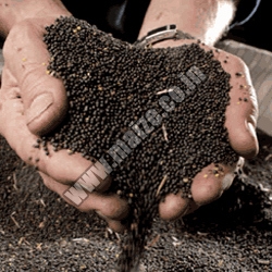 Rapeseed Meal, Storage : Cool & Dry Place