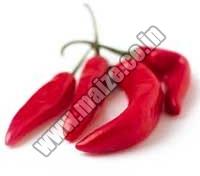 Organic Red Chillies, For Cooking, Fast Food, Sauce, Taste : Spicy