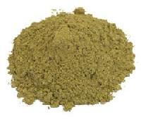 Indian Tulsi Extracts