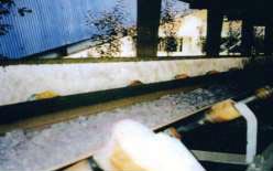 Chemical Resistant Conveyor Belts