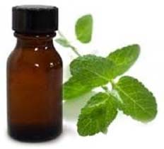 Spearmint Oil, For Healing Wounds, Packaging Type : Glass Bottles, Plastic Bottles