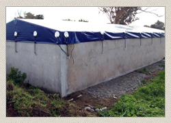 Agricultural Tarpaulins