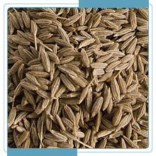 Cumin seeds, Purity :100%