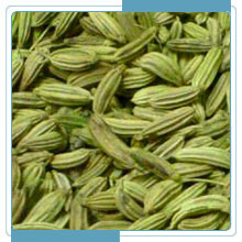 Fennel seeds, Storage : Cool & Dry Place