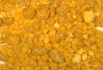 Corn Gluten Meal