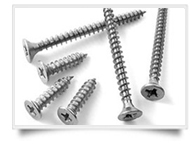 Duplex Steel Screws