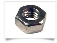 Stainless Steel Nuts