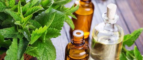 Peppermint Oil, Application : Pharmaceutical
