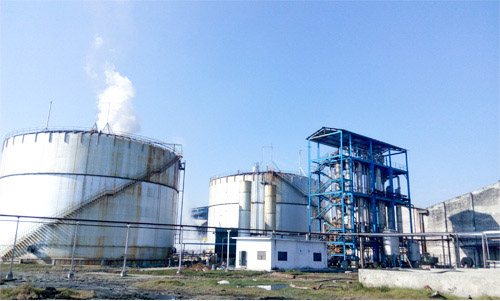 Bio Gas Plant