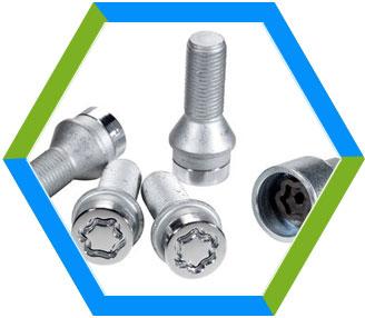 Stainless Steel Anti-Theft Bolts