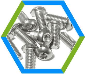 Stainless Steel Button Head Bolts