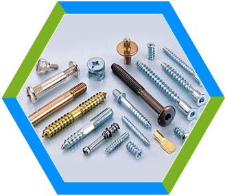 Stainless Steel Furniture Screw