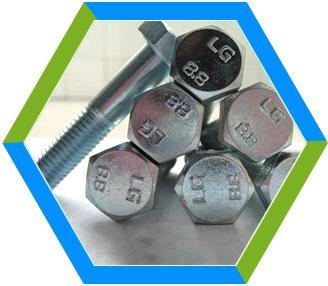 Stainless Steel Hex Head Bolts