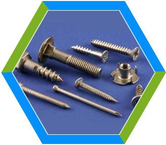 Stainless Steel Marine Fasteners