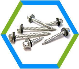 Stainless Steel Roofing Screw