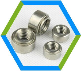 Stainless Steel Fastener