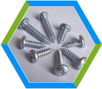Stainless Steel Self Tapping Screw