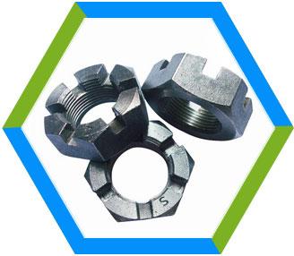 Stainless Steel Slotted Hex Nut
