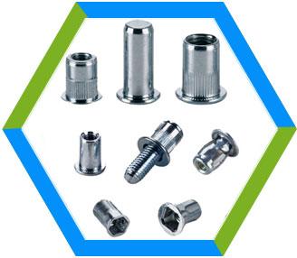 High Tensile Stainless Steel Rivet