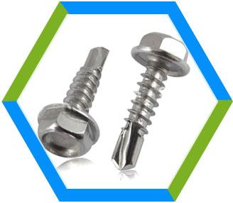 Stainless Steel Thread Cutting Screw