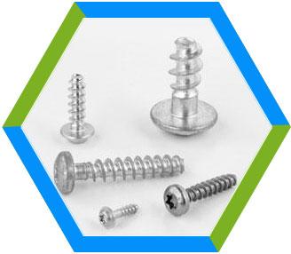 Stainless Steel Thread Rolling Screw