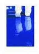 Akshat Biotech Washable Sticky Mats, Size : 2ft X 4ft