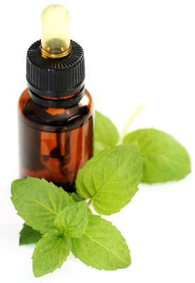 Peppermint Oil, Purity : 99.9%
