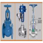 Globe Valve