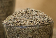 Cumin Seeds