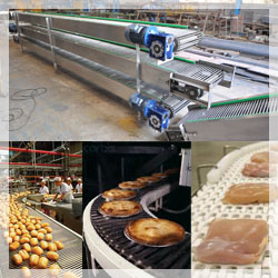 Conveyor Systems For Food