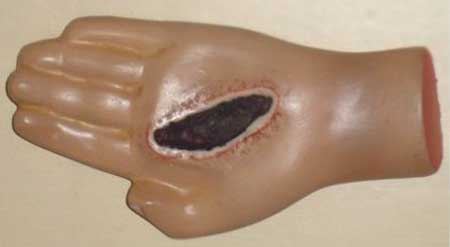 Body Depicting Model