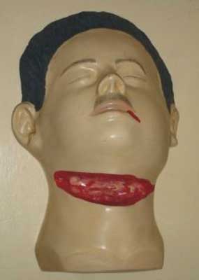 Throat Model