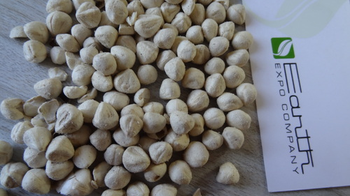 Moringa Seed Kernels