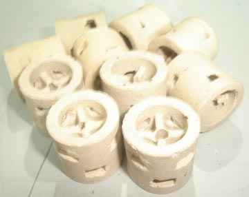 Ceramic Pall Ring