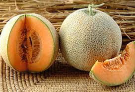 Common Fresh Muskmelon, Packaging Type : Curated Box, Net Bag, Plastic Box, Wooden Box