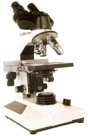 Binocular microscope