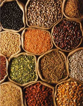 Pulses