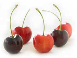 Fresh cherries