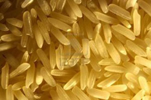 Basmati rice, Discolor :1 %