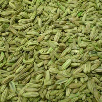 Fennel seeds, Packaging Type : PP bags