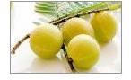 Amla, Application : Human Consumption