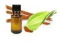 Cinnamon Bark Oil