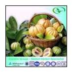 Garcinia Combogia