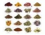 Natural Herbal Extracts Dried for Medicinal, Food Additives