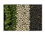 Pepper Powder