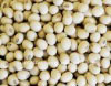 Australian Organic Soya Beans