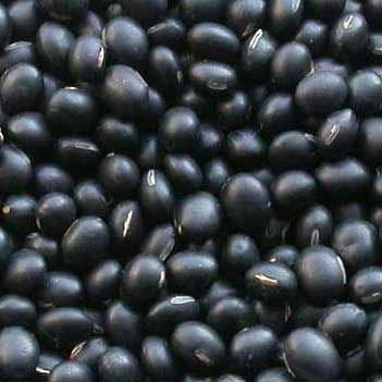 Black Matpe Beans