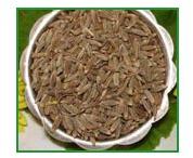 Cumin seeds