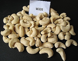 Cashew nuts for Snacking, Baking